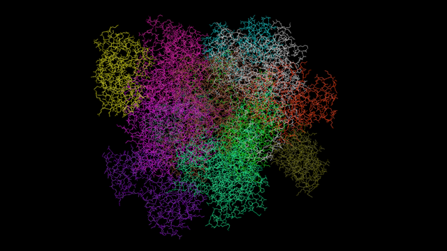 Colour by chain with no atoms shown.