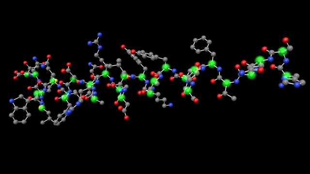 Glucagon with highlighted alpha carbons.