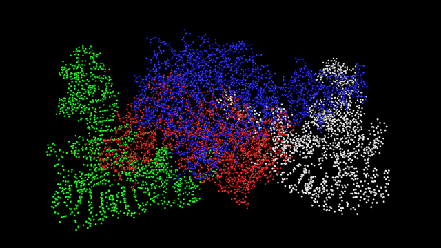 Nucleotide chain without bonds
