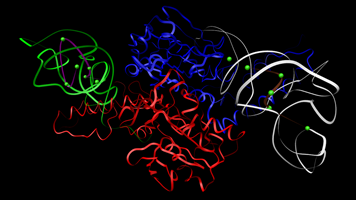 Ligase