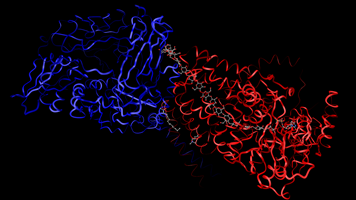 Transferase