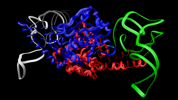 Ligase